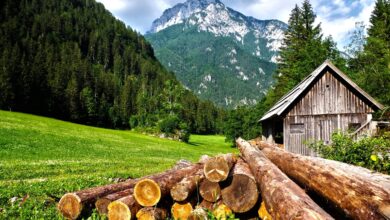 Eine kleine Hütte in den Alpen dient als typisches Filmset für einen Heimatfilm.