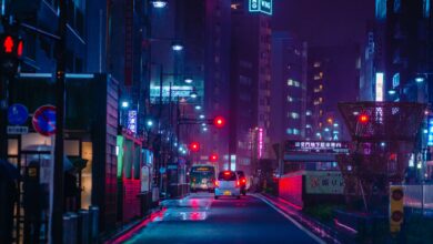 Auf dem Bild ist eine verregnete Straße zu sehen, die mit Neonschildern beleuchtet wird. Es herrscht eine Cyberpunk Atmosphäre.