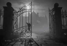 Citizen-Kane-filmanalyse_film-lexikon