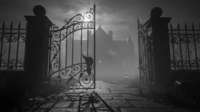 Citizen-Kane-filmanalyse_film-lexikon