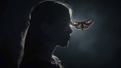 Das-Schweigen-der-Lämmer__filmanalyse_film-lexikon