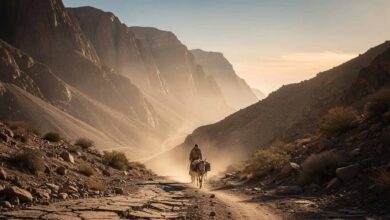 Der-Schatz-der-Sierra-Madre-filmanalyse_film-lexikon