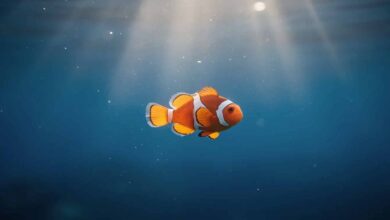 Findet-Nemo–filmanalyse_film-lexikon