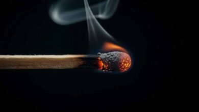 Slow-Burn-Narration_film-lexikon