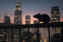 departed-unter-feinden_filmanalyse_film-lexikon